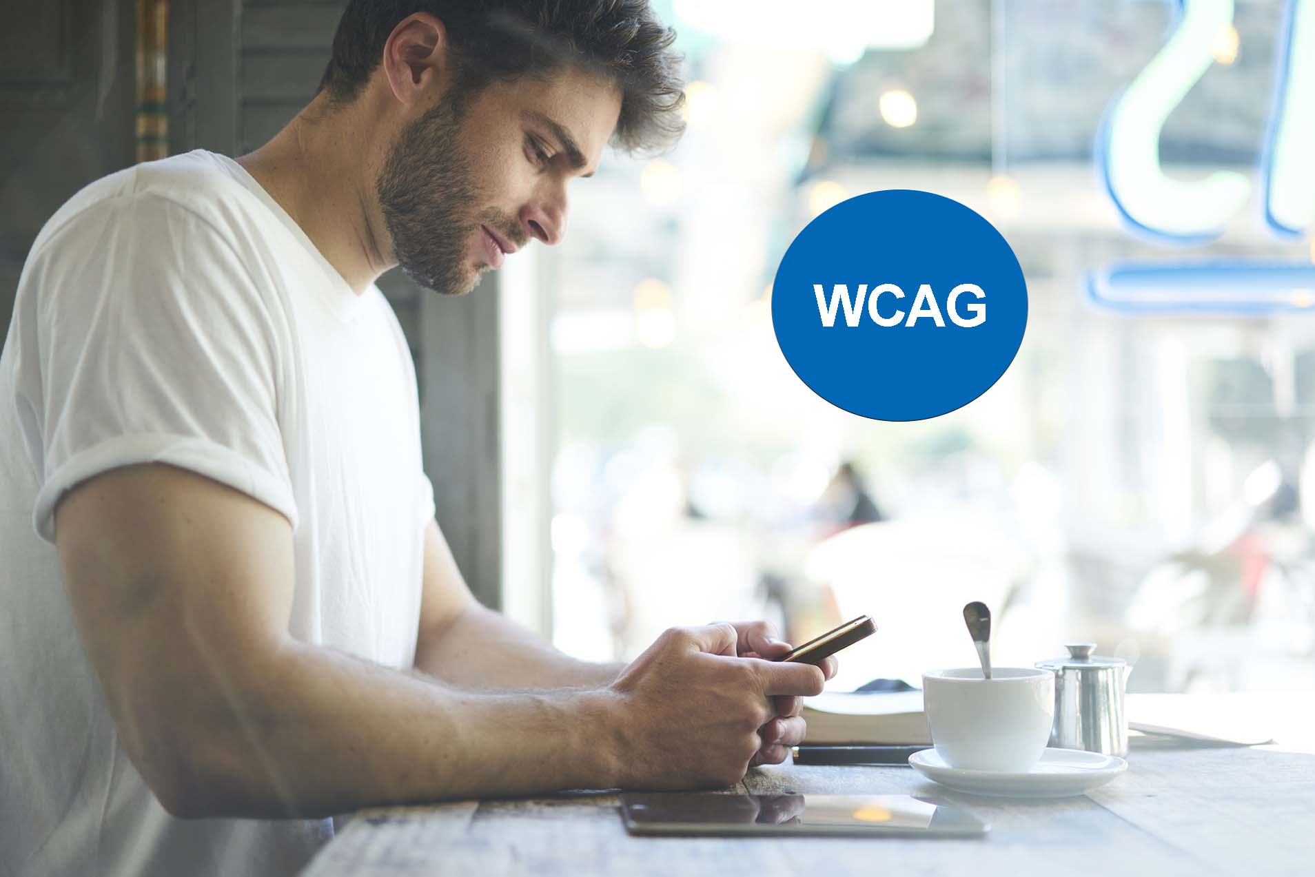 Web Content Accessibility Guidelines